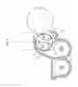 Fig. 08 - Developing device including a cylindrical layer thickness regulation member and image forming apparatus including the developing device