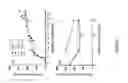 Fig. 08 - Gaseous ammonia removal system