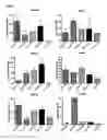 Fig. 05 - Method for identifying antigen-specific regulatory T cells