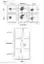 Fig. 10 - Method for identifying antigen-specific regulatory T cells