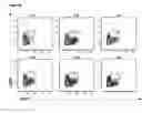 Fig. 11 - Method for identifying antigen-specific regulatory T cells
