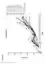Fig. 22 - PD-1 antibodies