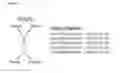Fig. 02 - Compounds