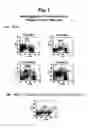 Fig. 02 - METHODS FOR PREDICTING DEVELOPMENT OF AUTO-IMMUNE DISEASES AND TREATMENT OF SAME