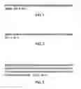 Fig. 02 - POLYPEPTIDES FOR INDUCING A PROTECTIVE IMMUNE RESPONSE AGAINST STAPHYLOCOCCUS AUREUS