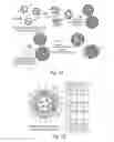 Fig. 02 - Lipid vesicle compositions and methods of use