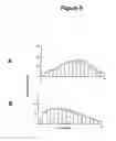 Fig. 06 - EXTENDED RELEASE DOSAGE FORM