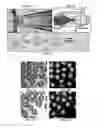 Fig. 02 - MELT EMULSIFICATION