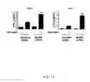 Fig. 45 - NLRC5 AS A TARGET FOR IMMUNE THERAPY