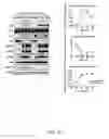 Fig. 63 - NLRC5 AS A TARGET FOR IMMUNE THERAPY