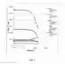 Fig. 02 - Polysaccharide and protein-polysaccharide cross-linked hydrogels for soft tissue augmentation