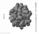 Fig. 06 - Biologically active silicic acid