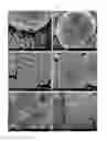 Fig. 02 - FABRICATION METHOD OF CALCIUM CARBONATE THIN FILM WITH SHAPE-CONTROLLED FINESTRUCTURE PATTERN USING ADDITIVE