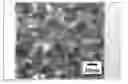 Fig. 01 - Method for producing transparent conductive film, transparent conductive film, transparent conductive substrate and device comprising the same