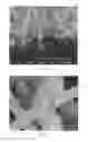 Fig. 07 - Nanowire-based membrane electrode assemblies for fuel cells