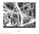 Fig. 08 - Nanowire-based membrane electrode assemblies for fuel cells