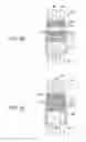 Fig. 22 - Manufacture of fuel cell