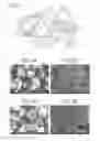 Fig. 02 - TONER, METHOD OF MANUFACTURING TONER, AND IMAGE FORMING METHOD USING TONER
