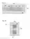 Fig. 08 - Inspection method for lithography