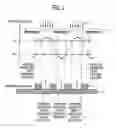 Fig. 03 - Pattern forming method using developer containing organic solvent and rinsing solution for use in the pattern forming method