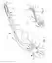 Fig. 05 - Method of and apparatus for extinguishing the flame of a candle