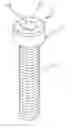 Fig. 01 - SCREW FOR TOOTH IMPLANTING