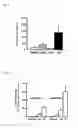 Fig. 06 - METHOD OF MEASURING HUMAN CYP3A INDUCIBILITY