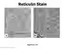 Fig. 02 - METHODS AND COMPOSITIONS FOR NUCLEAR STAINING