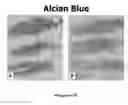 Fig. 04 - METHODS AND COMPOSITIONS FOR NUCLEAR STAINING