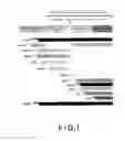 Fig. 02 - DOPAMINERGIC NEURON PROLIFERATIVE PROGENITOR CELL MARKER Msx1/2