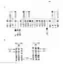 Fig. 06 - DETECTION OF MUTATIONS IN A GENE ENCODING IkB KINASE-COMPLEX-ASSOCIATED PROTEIN TO DIAGNOSE FAMILIAL DYSAUTONOMIA
