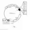 Fig. 02 - Recombinant construct for detection of halogenated aromatic hydrocarbons