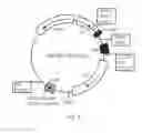 Fig. 04 - Recombinant construct for detection of halogenated aromatic hydrocarbons