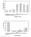 Fig. 02 - Nanofibers with high enzyme loading for highly sensitive biosensors