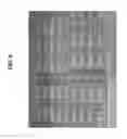 Fig. 07 - Microorganism comprising particles and uses of same