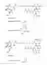 Fig. 01 - Gene cluster