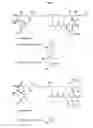 Fig. 02 - Gene cluster