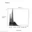 Fig. 02 - GENETICALLY MODIFIED YEAST STRAIN