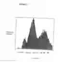 Fig. 06 - GENETICALLY MODIFIED YEAST STRAIN