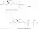 Fig. 07 - Host cells for production of isoprenoid compounds