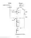 Fig. 04 - Engineered microorganisms with enhanced fermentation activity