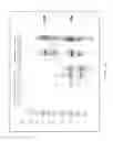 Fig. 23 - Engineered microorganisms with enhanced fermentation activity