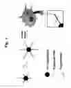 Fig. 02 - Nanoparticle-based gene delivery systems