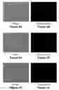 Fig. 07 - COMPOSITIONS AND METHODS FOR MATERIAL TRANSFER INTO CELLS