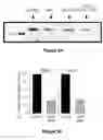 Fig. 08 - COMPOSITIONS AND METHODS FOR MATERIAL TRANSFER INTO CELLS