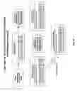 Fig. 23 - Sequencing of nucleic acid molecules by mass spectrometry