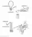 Fig. 01 - OLIGONUCLEOTIDE PROBE AND USE THEREOF