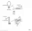 Fig. 02 - OLIGONUCLEOTIDE PROBE AND USE THEREOF