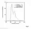Fig. 06 - OLIGONUCLEOTIDE PROBE AND USE THEREOF