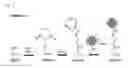 Fig. 02 - Method for binding a protein consisting of protein A or consisting of at least one domain of the A to E domains of the protein A to the substrate